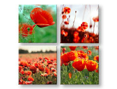 Slike na platnu Meadow of poppy poppies Kolaž 