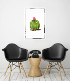 Slika na ogledalu Kaktus Mirrora 67 - 60x40 cm