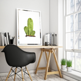 Slika na ogledalu Kaktus Mirrora 68 - 60x40 cm