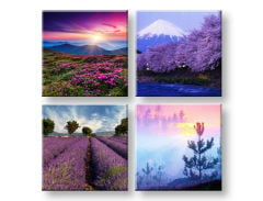 Slike na platnu Everywhere purple 4-delni Kolaž XOBKOL21E42