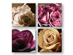Slike na platnu Kingdom of roses 4-delne XOBKOL30E42