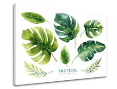 Slike na platnu sa tekstom Tropical set
