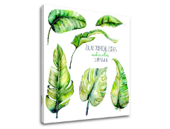 Slike na platnu sa tekstom Palm tropical leaves