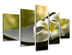 Slike na platnu FENG SHUI 