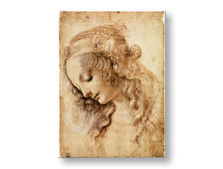 Reprodukcije GLAVA ŽENE - Leonardo Da Vinci