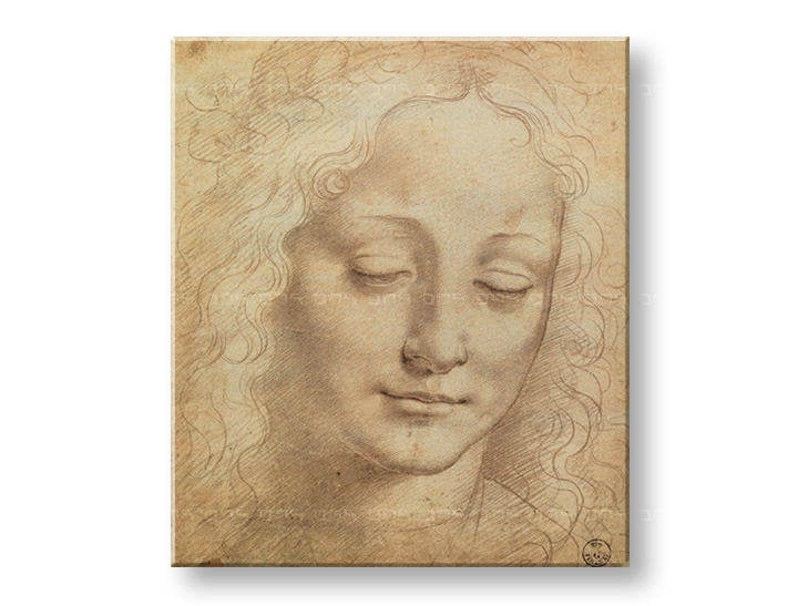 Reprodukcije LICE ŽENE 3 – Leonardo Da Vinci