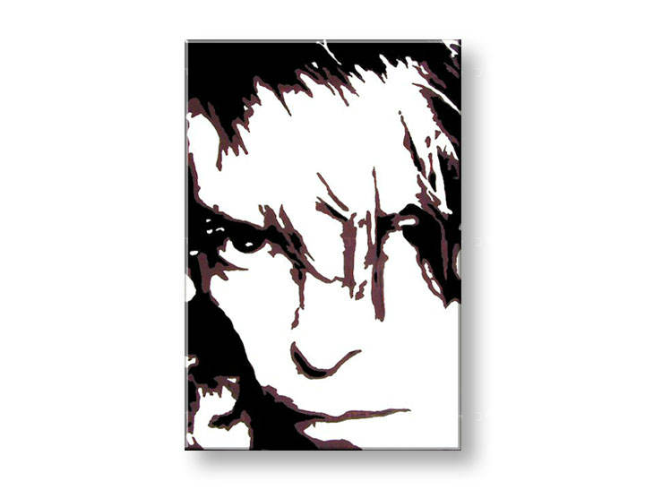 Ručno slikane slike na platnu Pop Art David Bowie 