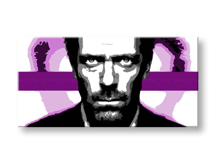 Ručno slikane slike na platnu Pop Art Dr. HOUSE 