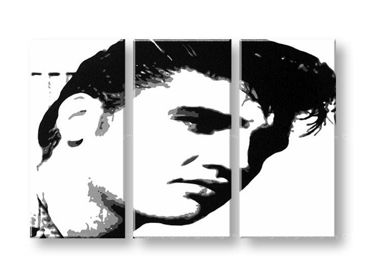 Ručno slikane slike na platnu Pop Art ELVIS 