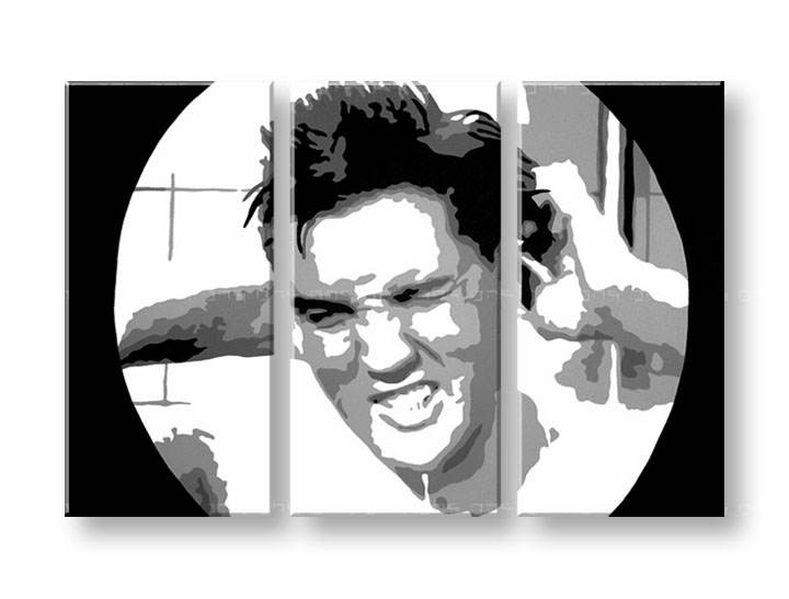 Ručno slikane slike na platnu Pop Art ELVIS 