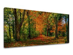 Zidna slika PANORAMA DRVEĆA 60x120 cm