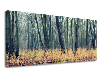 Zidna slika PANORAMA DRVEĆA ST019E13
